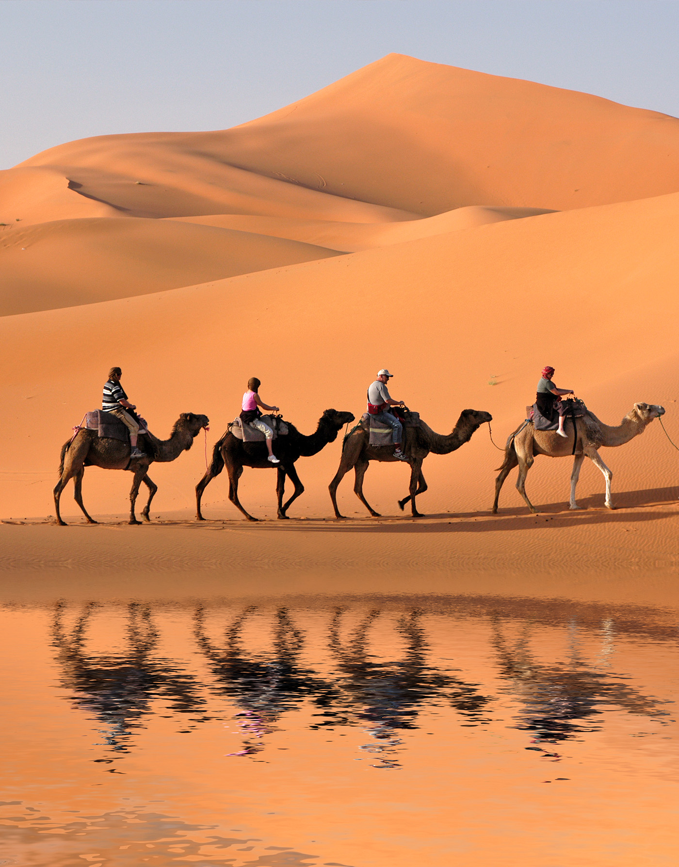 A group traveling on camels in front of majestic sand dunes.